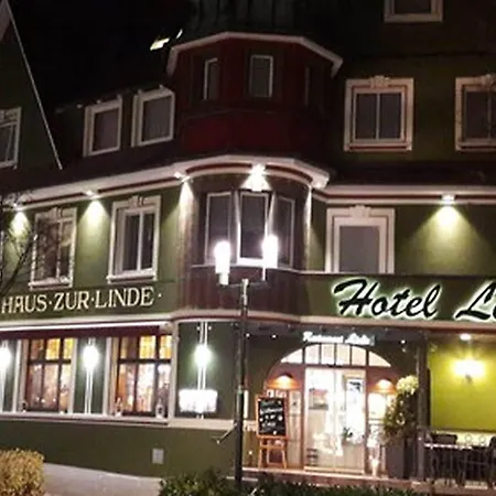 Hotel Linde 3*